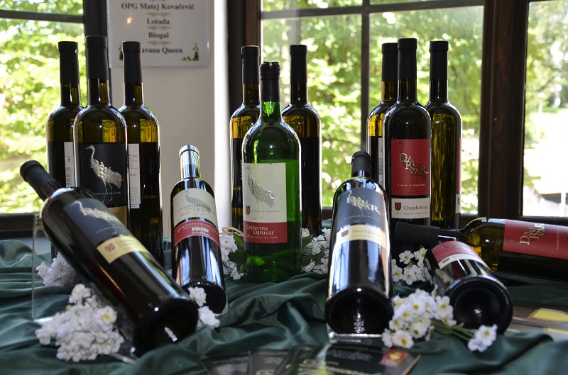 Vinodar - izložba vina